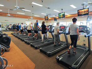 25236 S FLAME TREE Drive