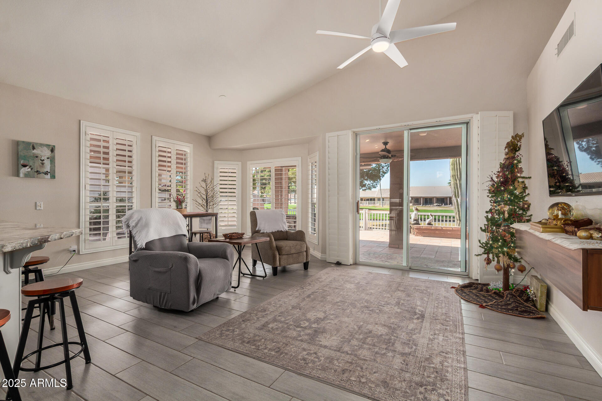 25236 S FLAME TREE Drive