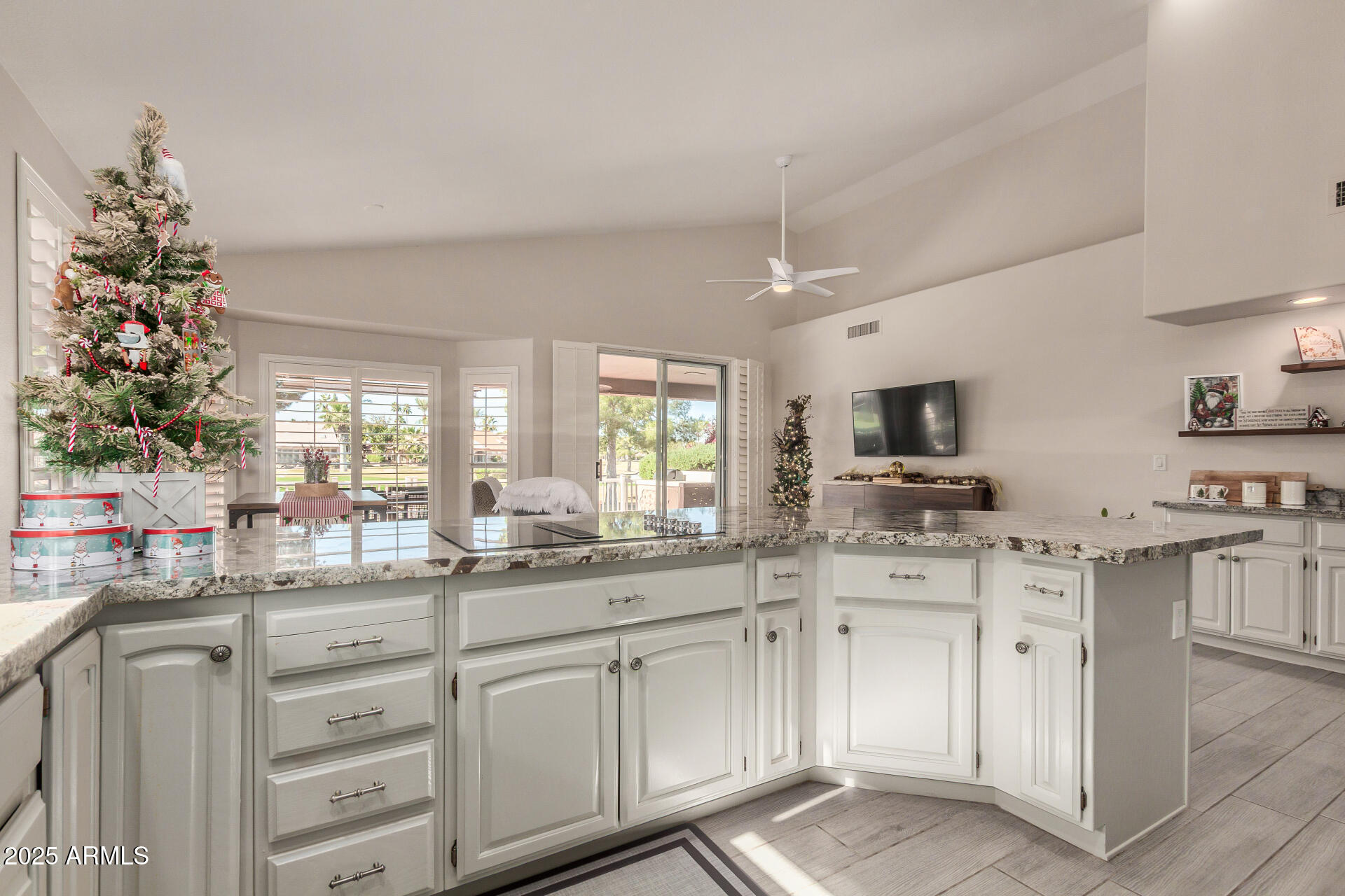 25236 S FLAME TREE Drive