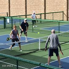 25236 S FLAME TREE Drive