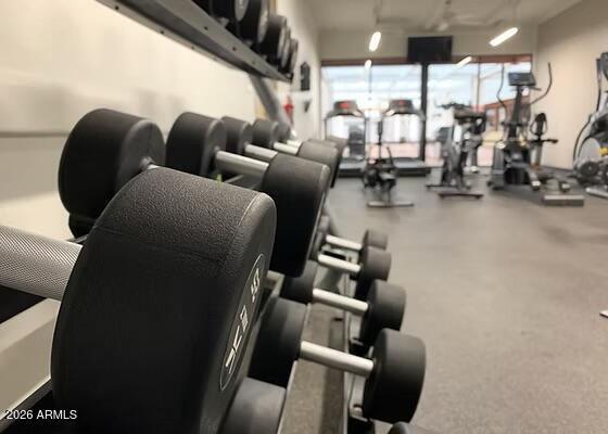 25236 S FLAME TREE Drive