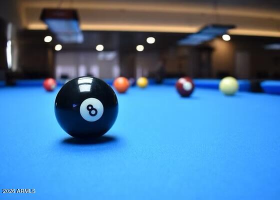 25236 S FLAME TREE Drive