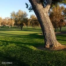 25236 S FLAME TREE Drive