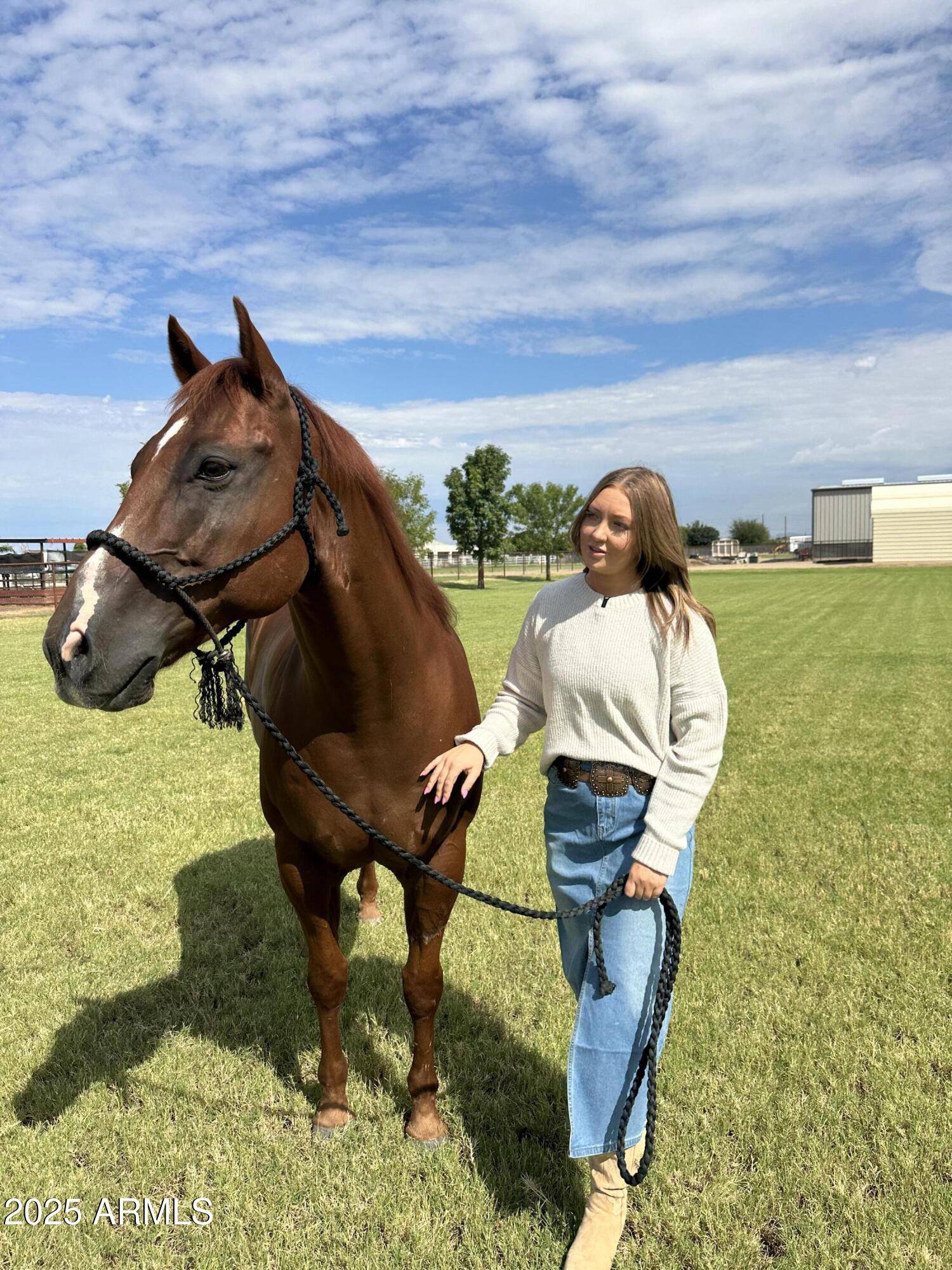 37262 N SIERRA VISTA Drive