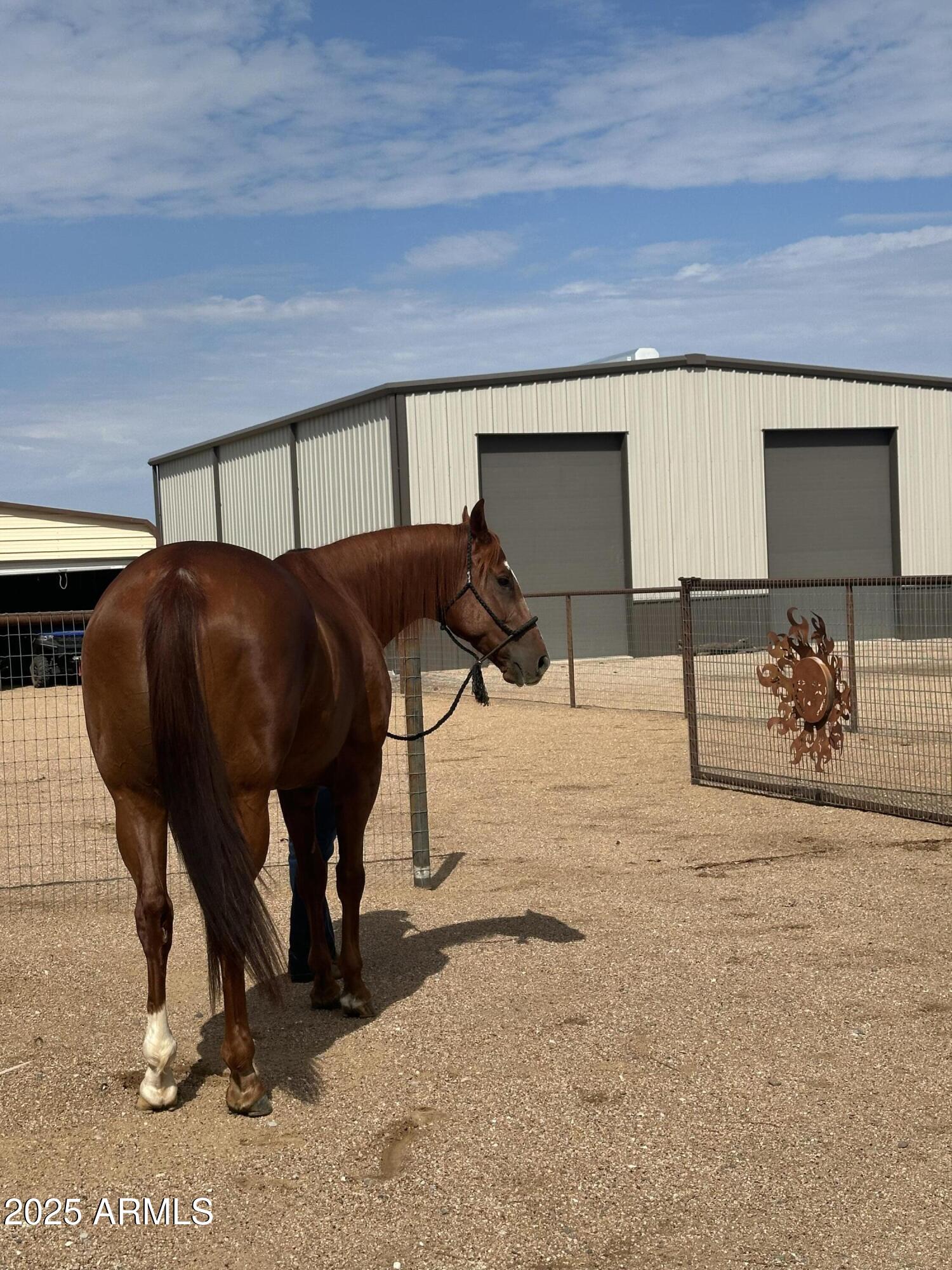 37262 N SIERRA VISTA Drive