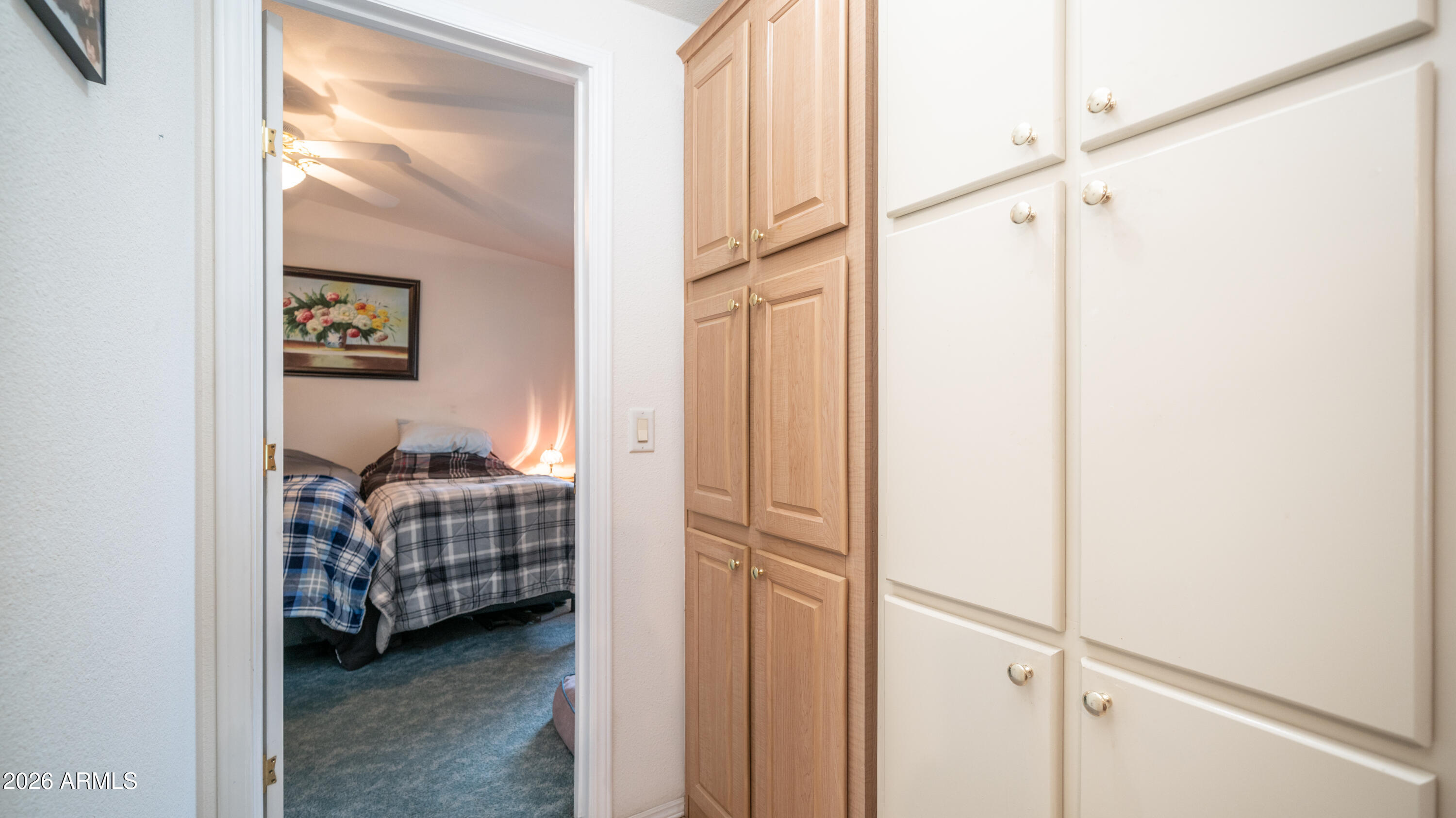 747 E Germann Road 92