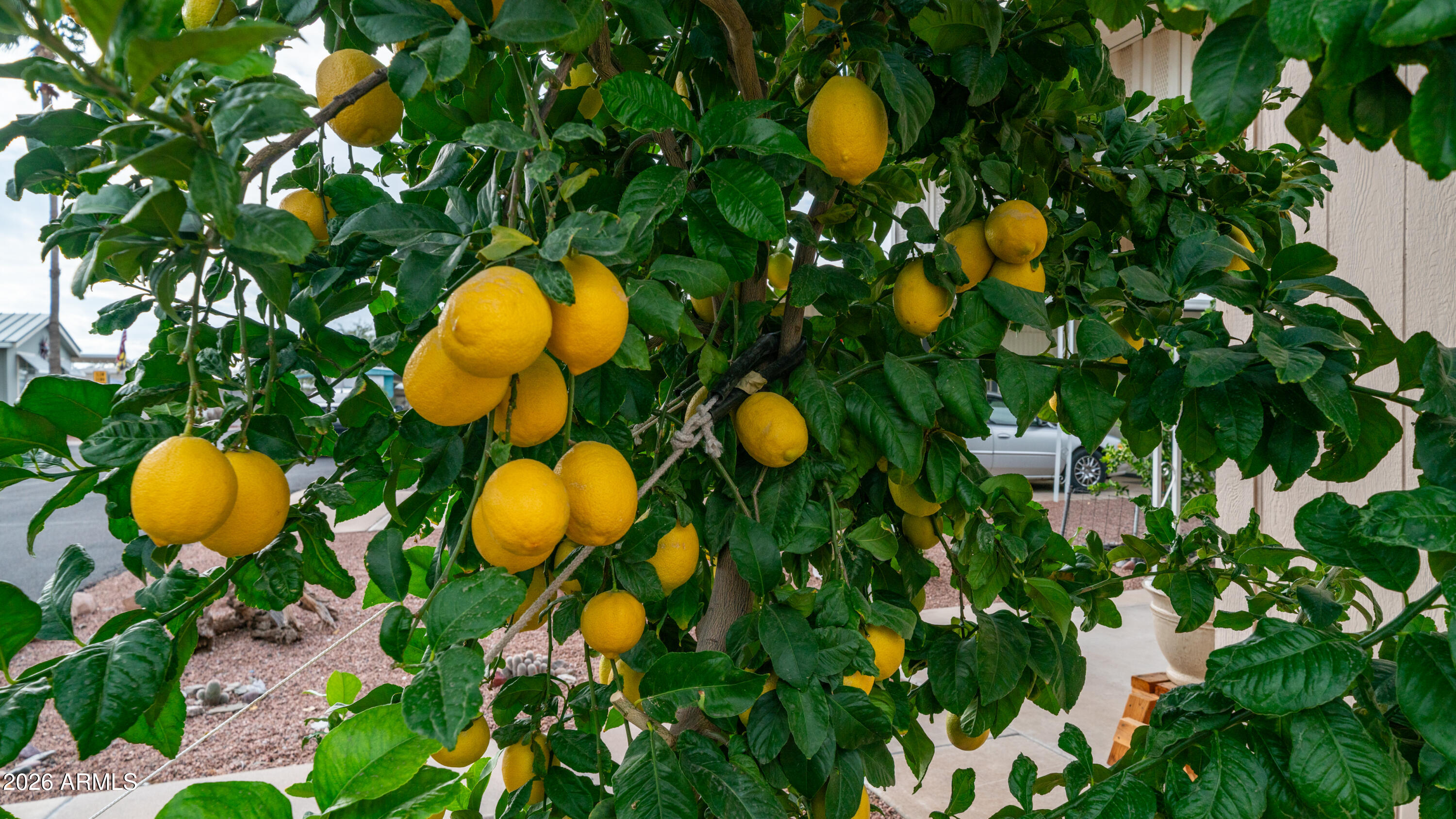 747 E Germann Road 92