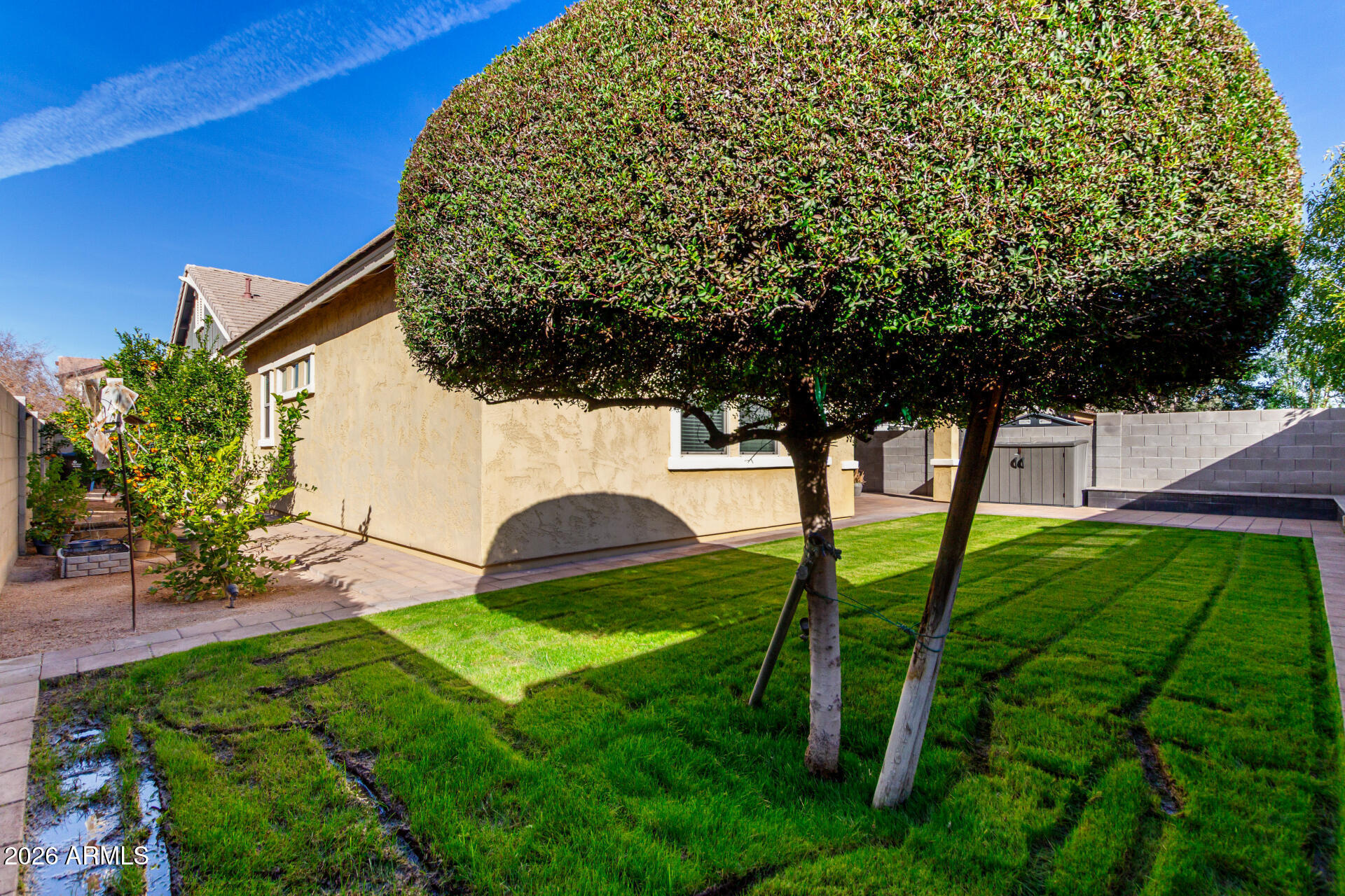 3023 E Arabian Drive