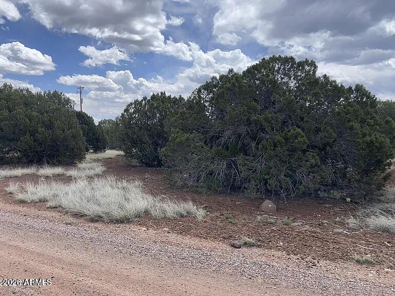 1879 TURKEY FLAT Place 17