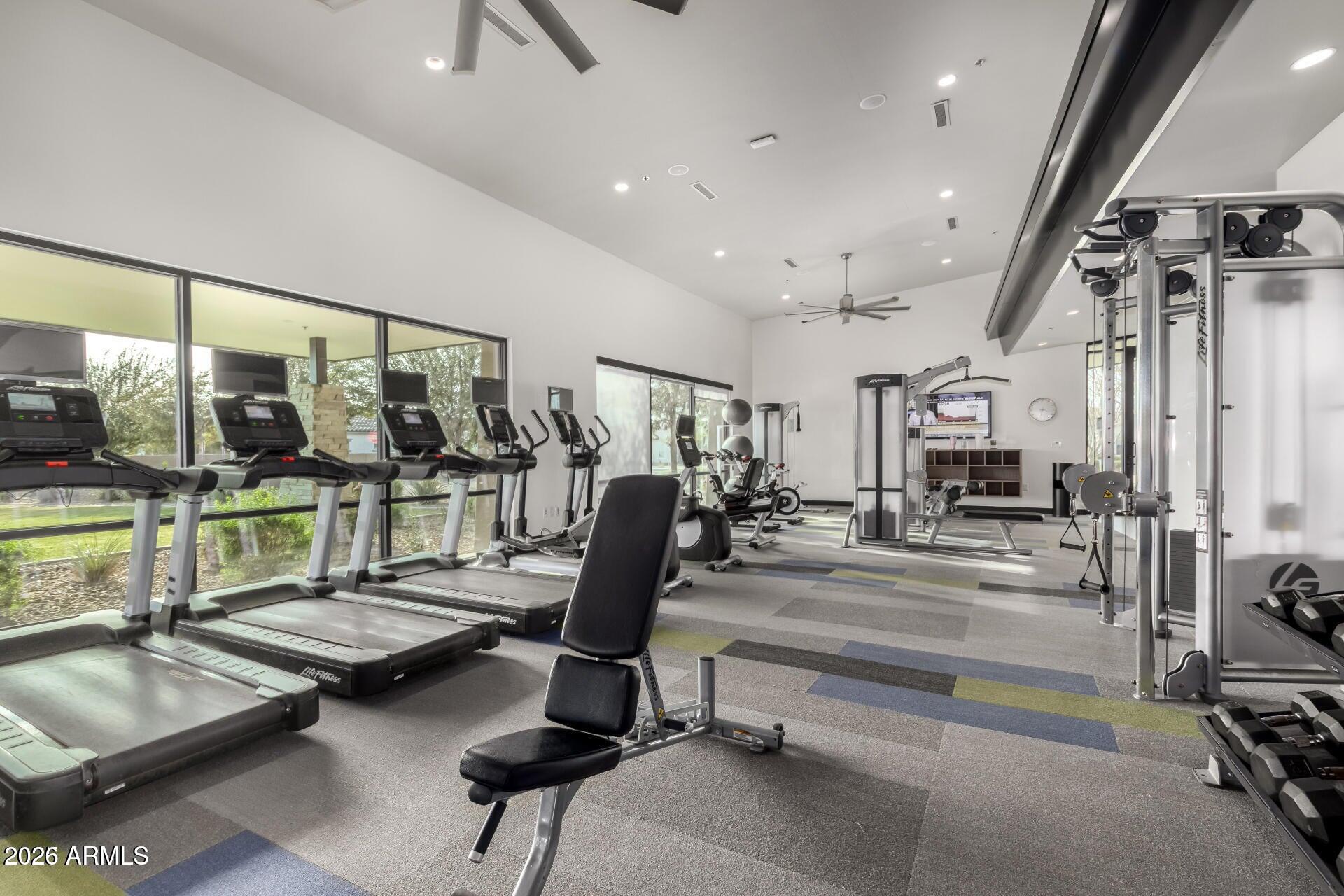 10248 E TIGER LILY Avenue