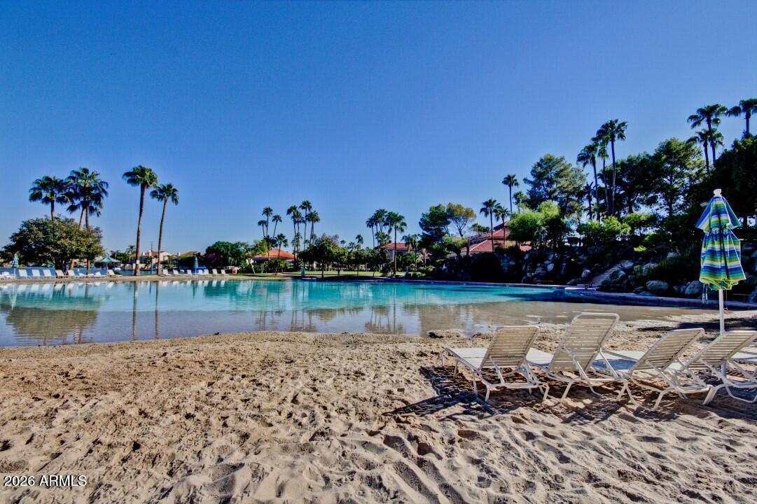 1756 E Queen Palm Drive