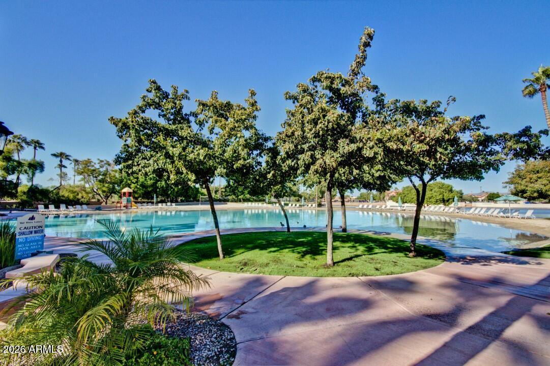 1756 E Queen Palm Drive