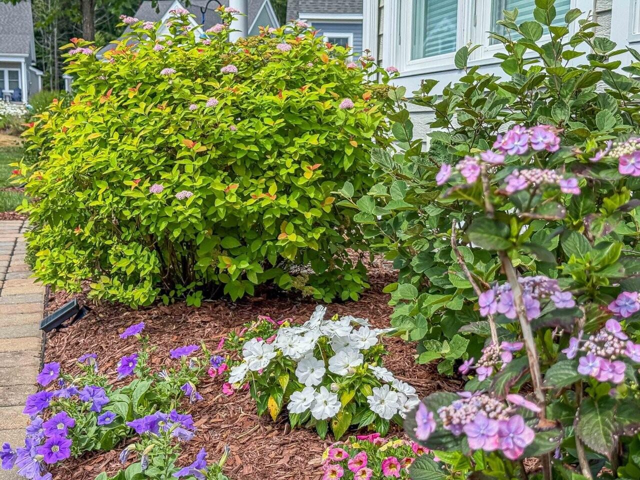 1 Cornbread Lane, 119