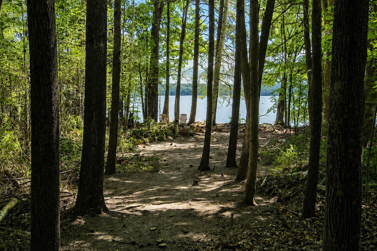 Wooded path opening onto a lakeshore, with Adirondack chairs by the water.