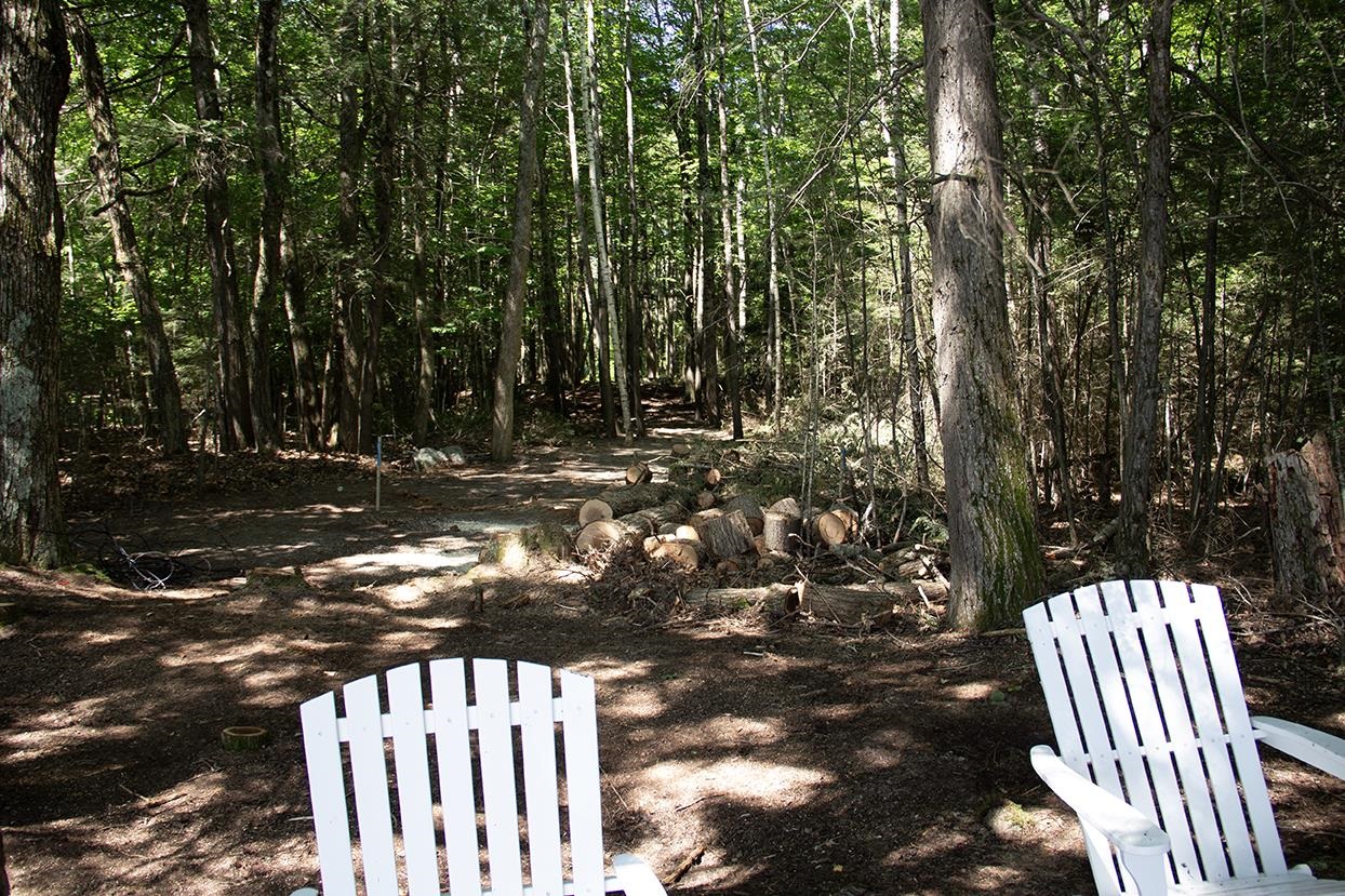 Wooded lot with a cleared area, cut logs, and two white Adirondack chairs.
