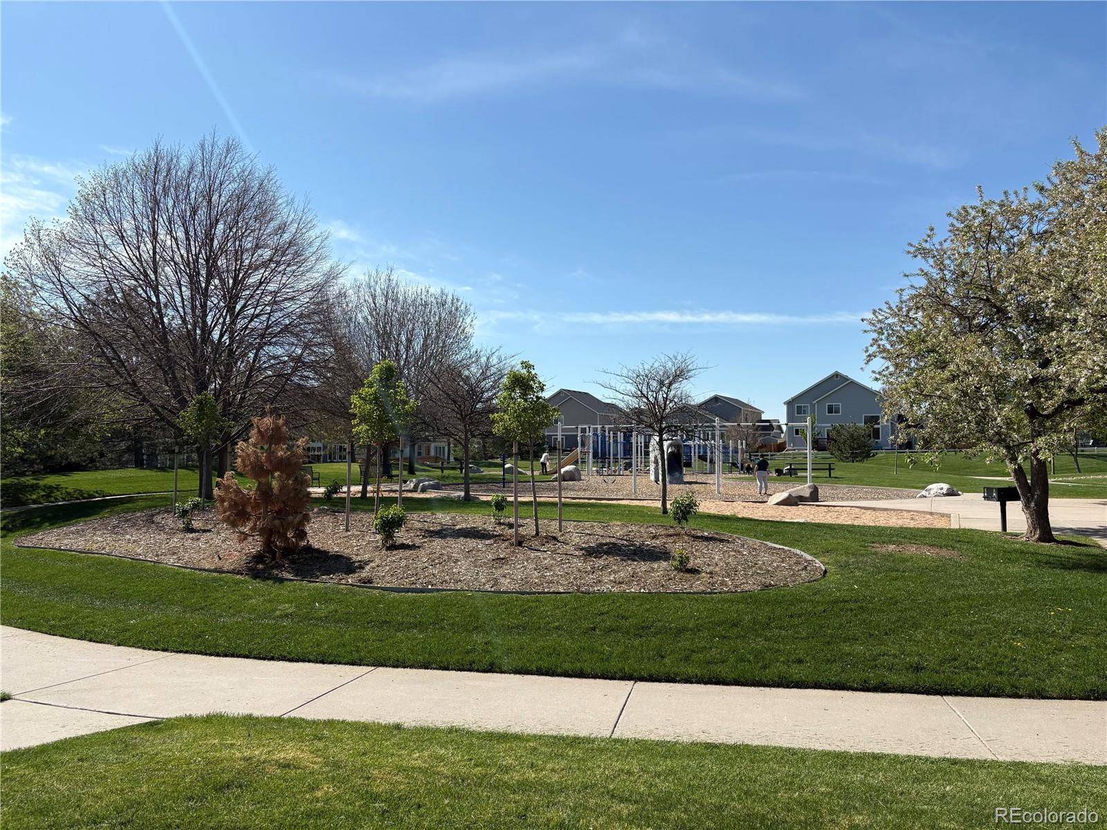 8380 Blackgum Street