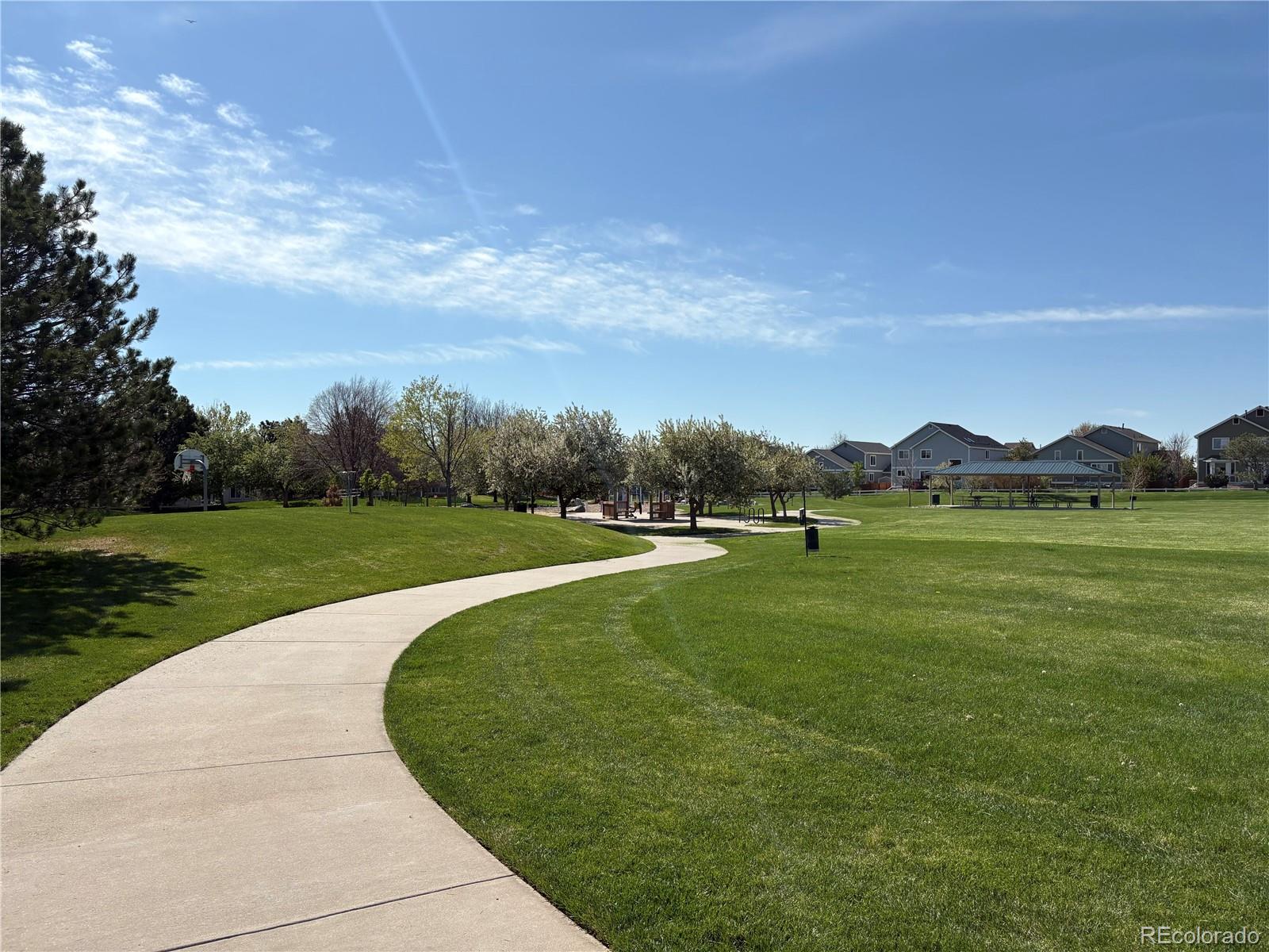 8380 Blackgum Street