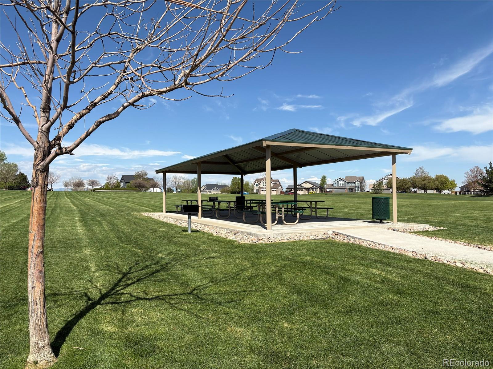 8380 Blackgum Street