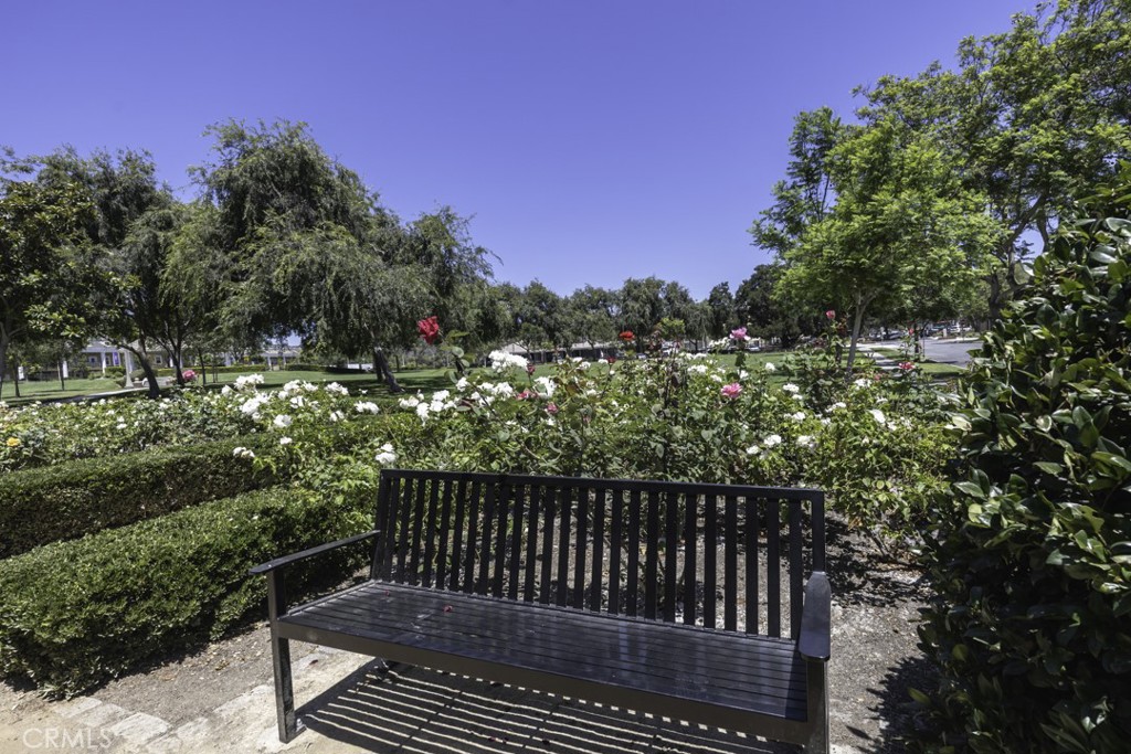 80 Three Vines Court