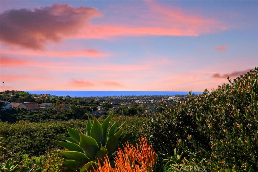 2880 Calle Guadalajara