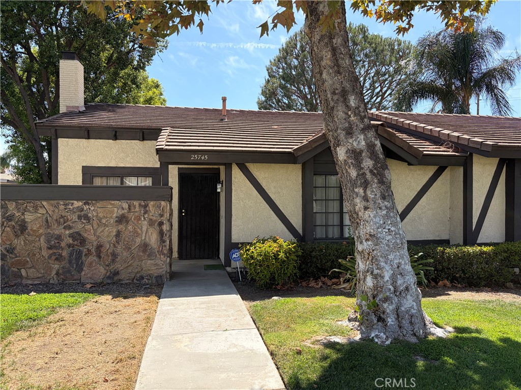 25745 Mission