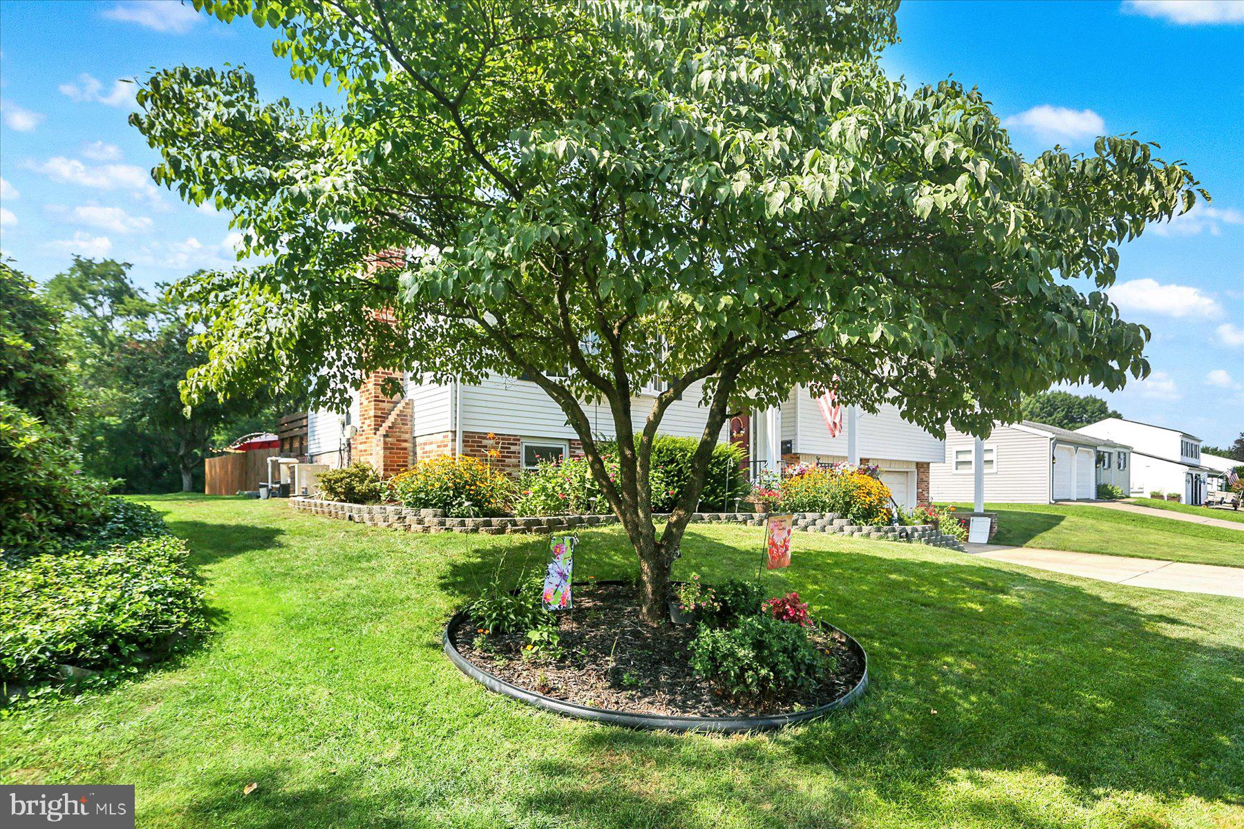 407 Alison Ave