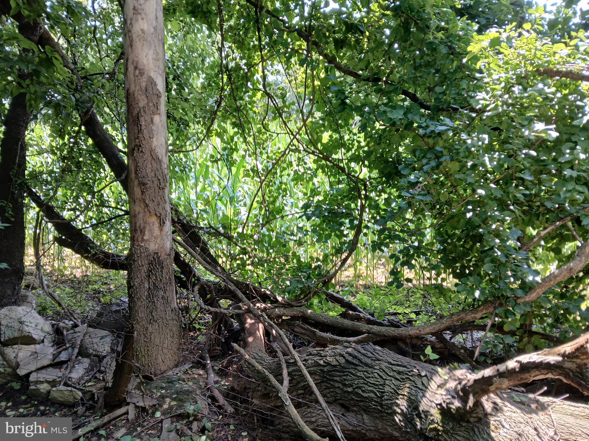 2264 Walnut Bottom Rd