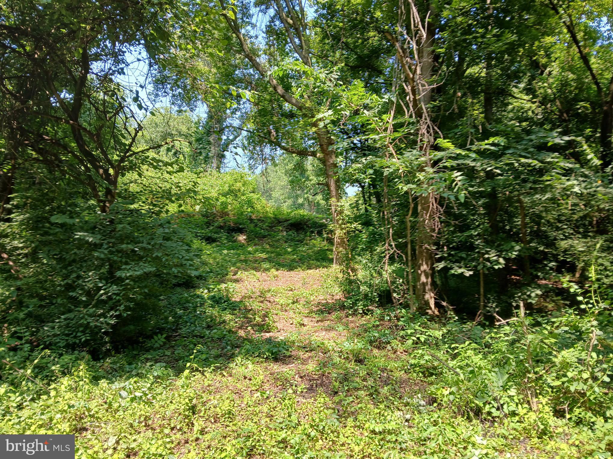 2264 Walnut Bottom Rd