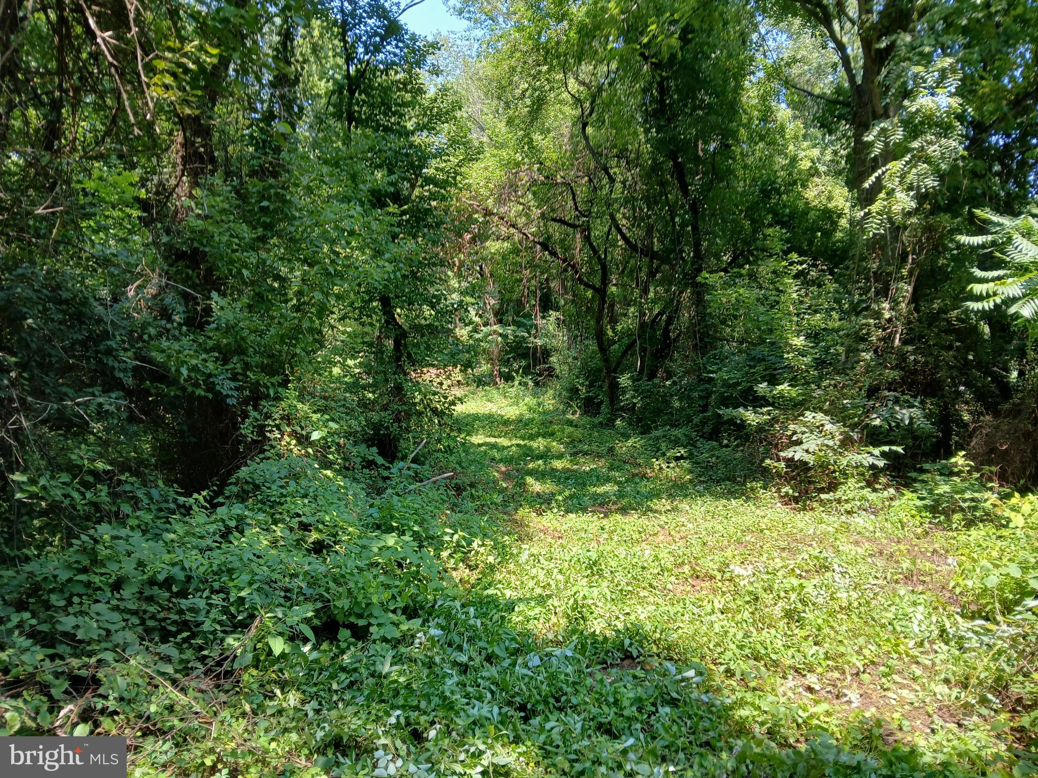 2264 Walnut Bottom Rd