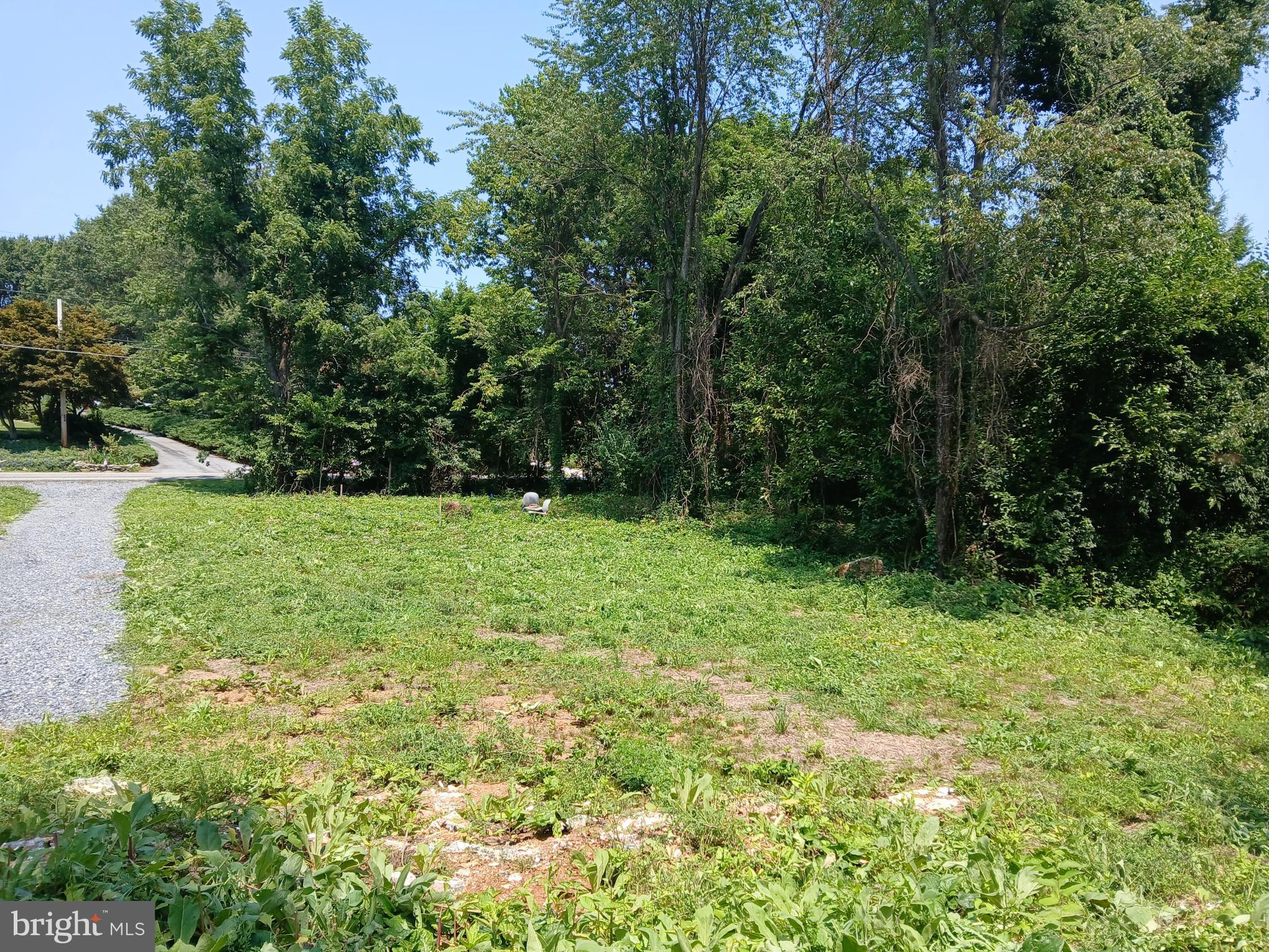 2264 Walnut Bottom Rd