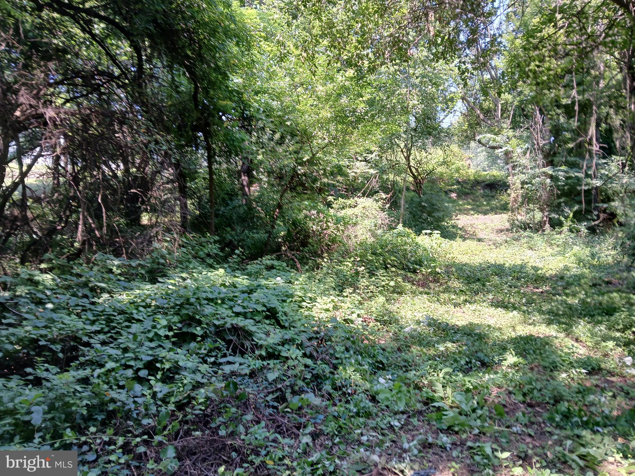 2264 Walnut Bottom Rd