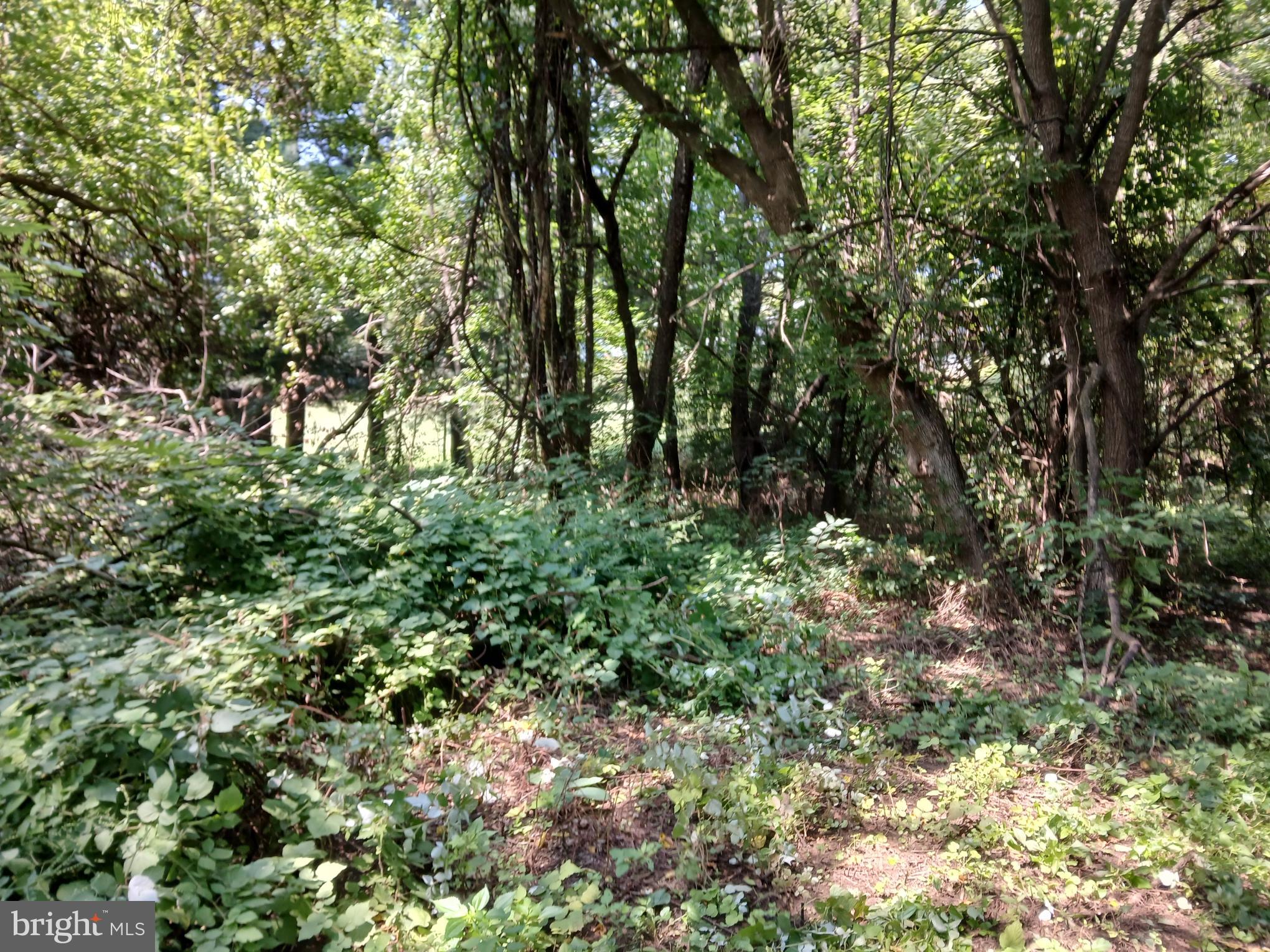 2264 Walnut Bottom Rd