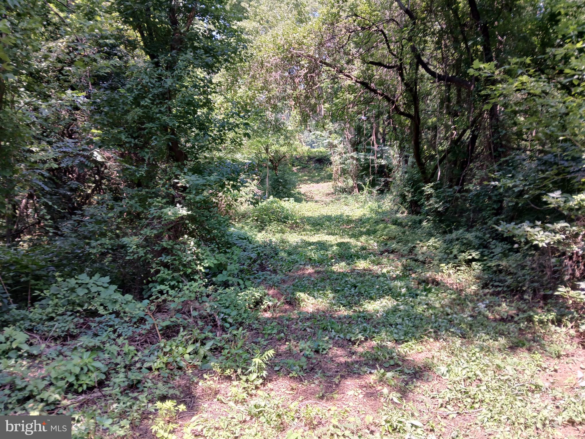 2264 Walnut Bottom Rd