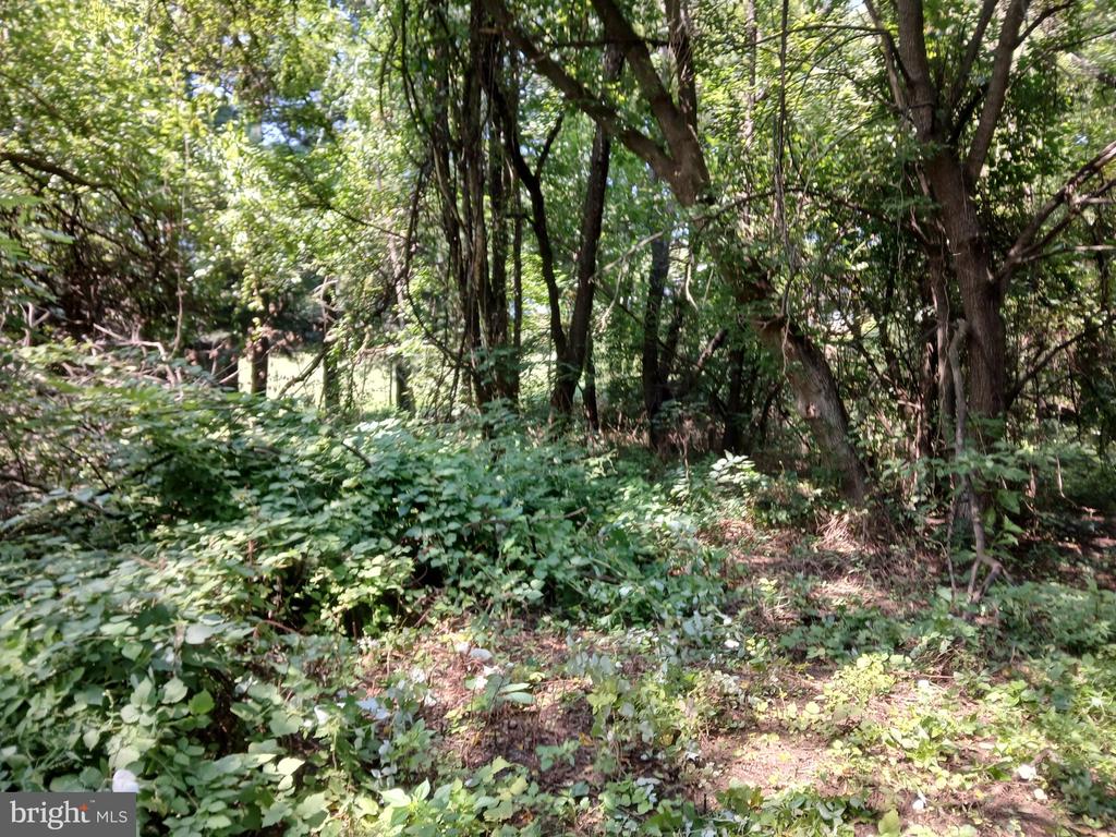 2264 Walnut Bottom Rd