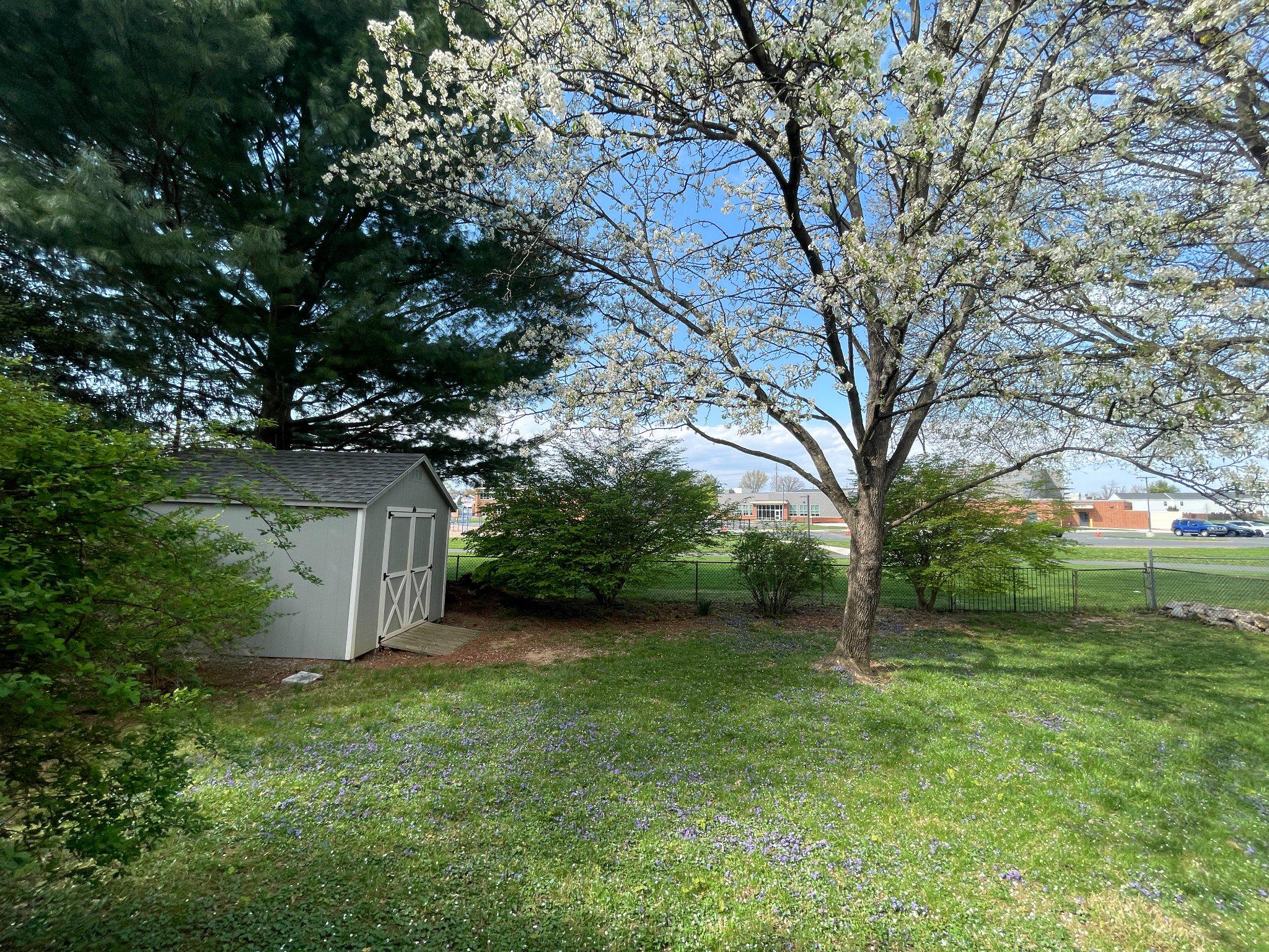113 E WOODLAND DRIVE
