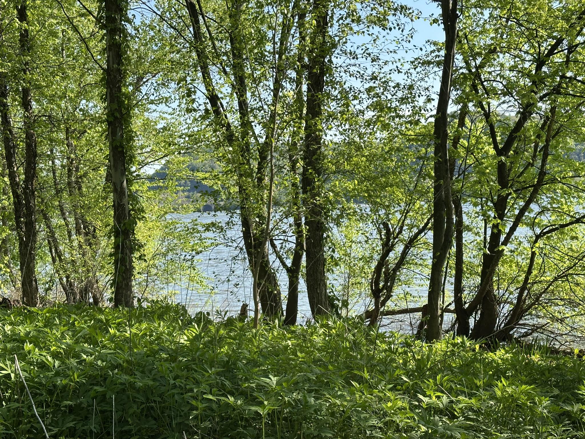 RIVER ROAD