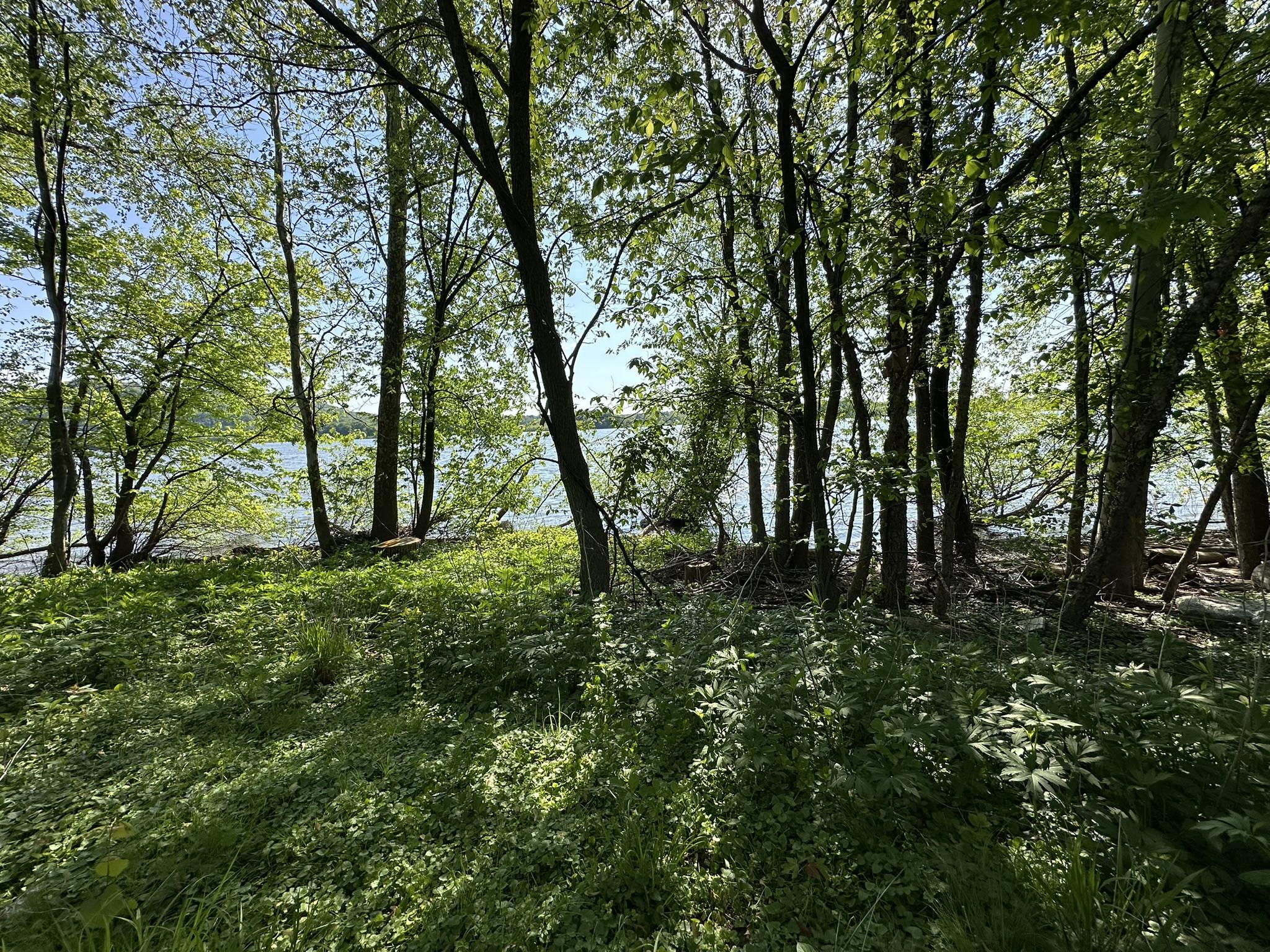 RIVER ROAD