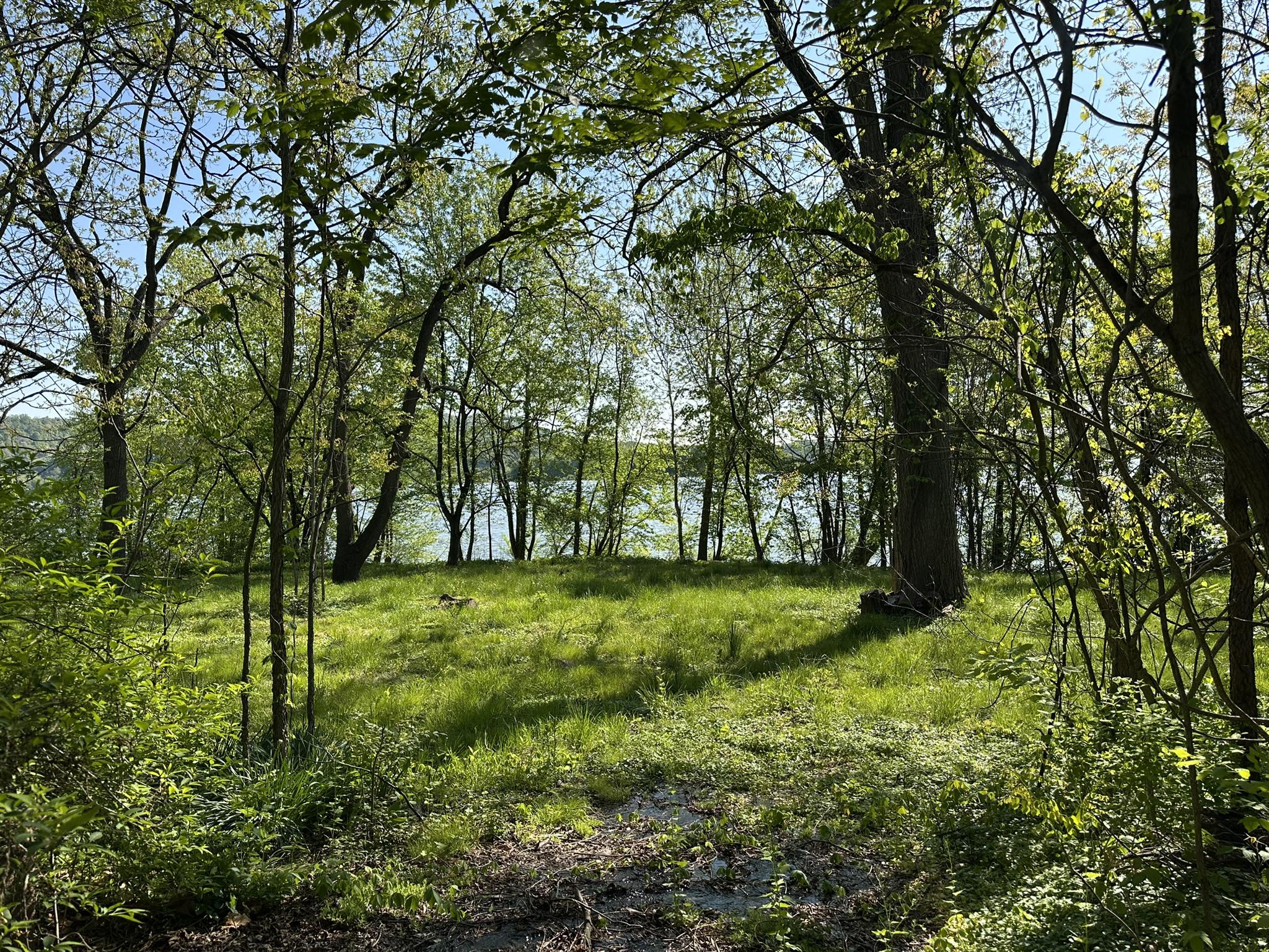 RIVER ROAD