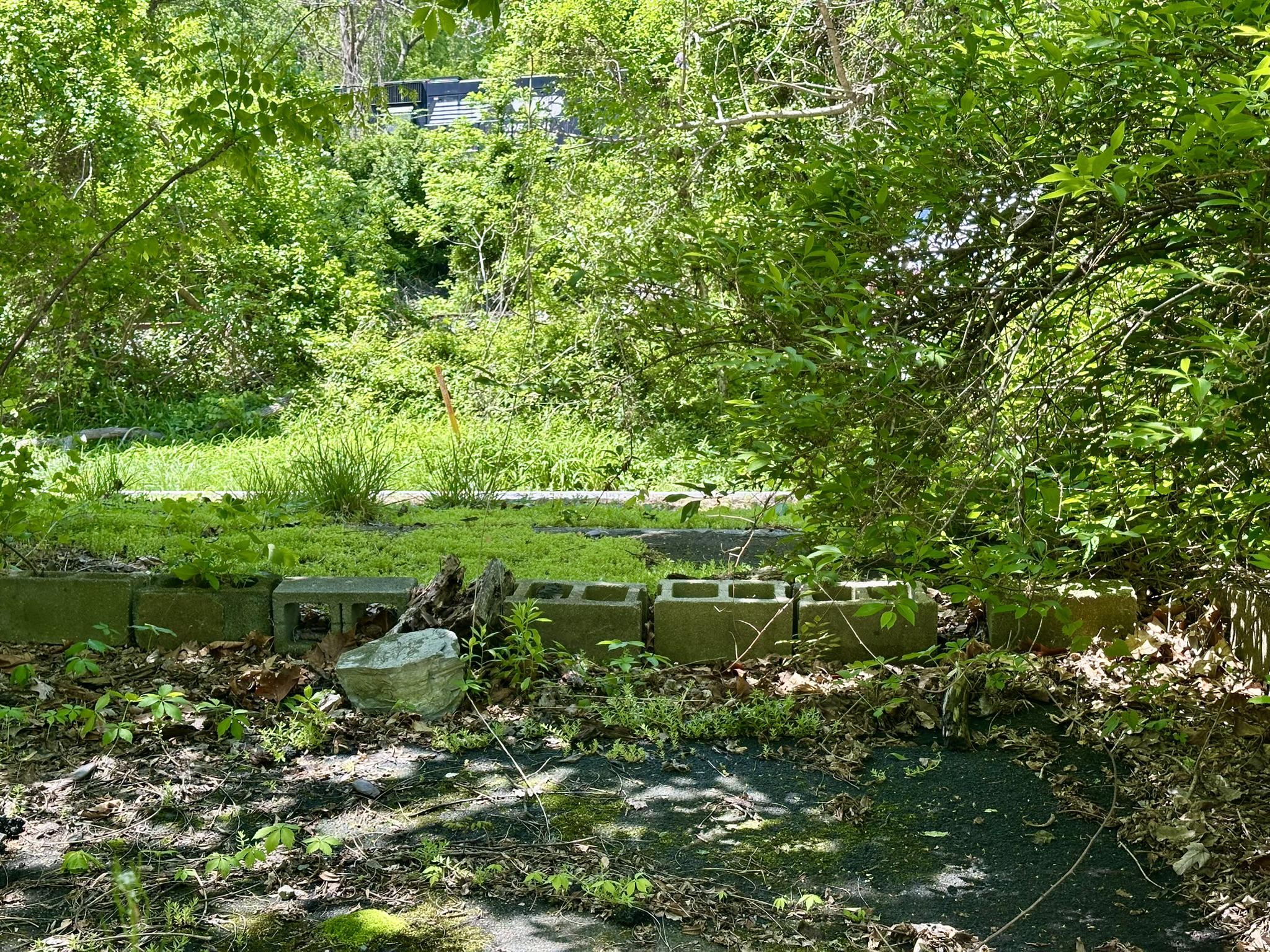 RIVER ROAD