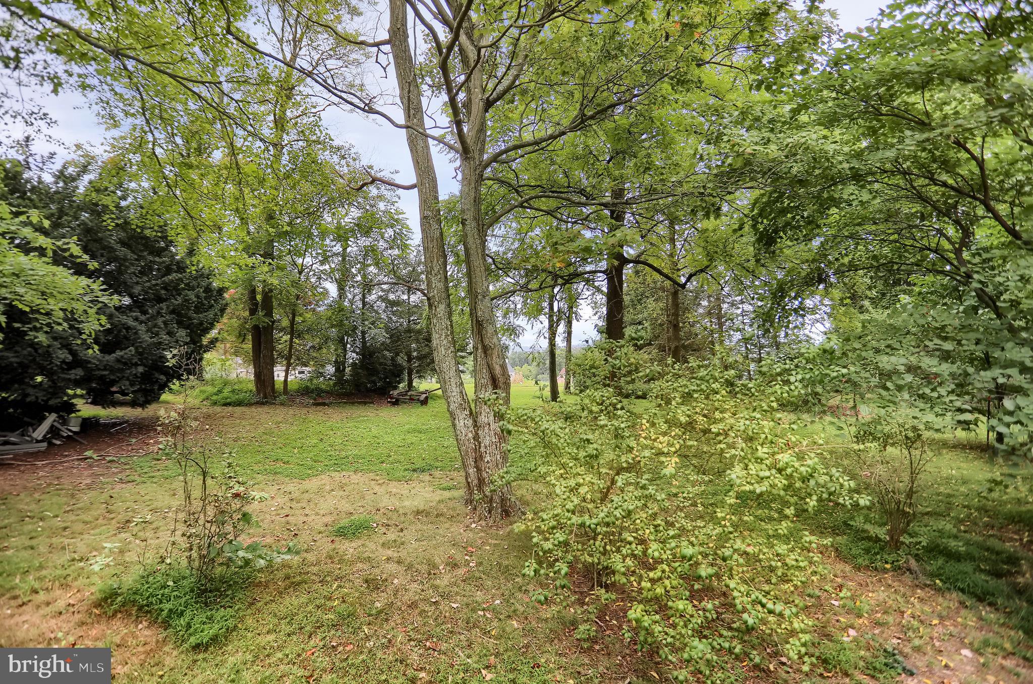 355 Dividing Ridge Rd