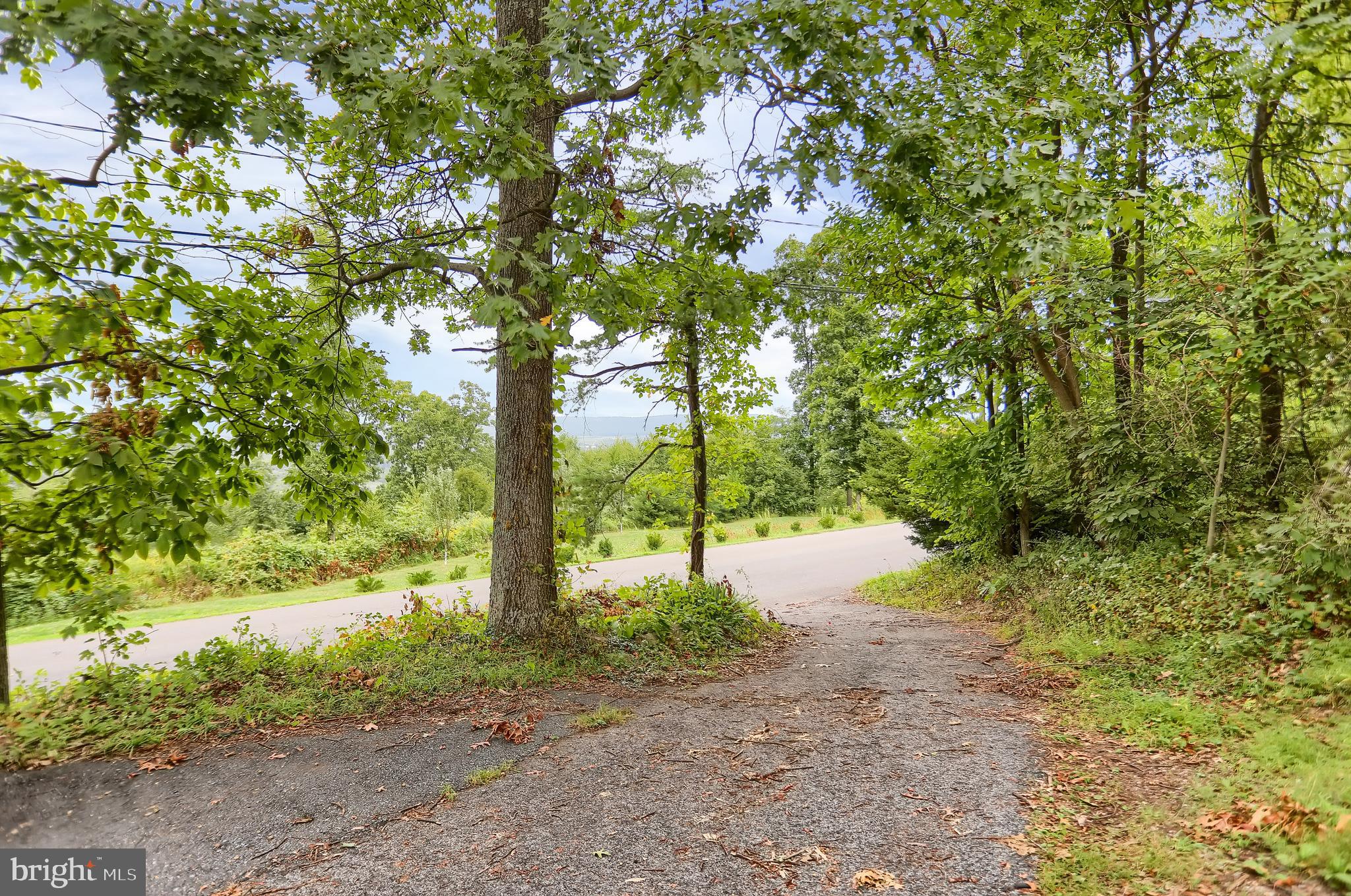 355 Dividing Ridge Rd