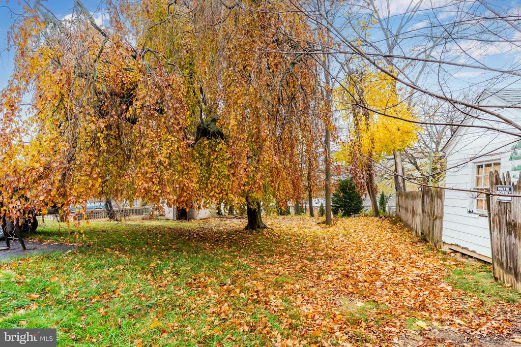 3102 SCHOOLHOUSE LANE