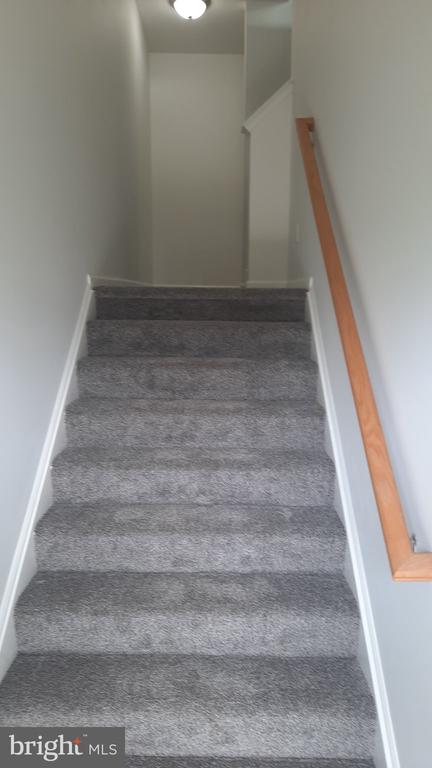 2441 NEWTOWN DRIVE