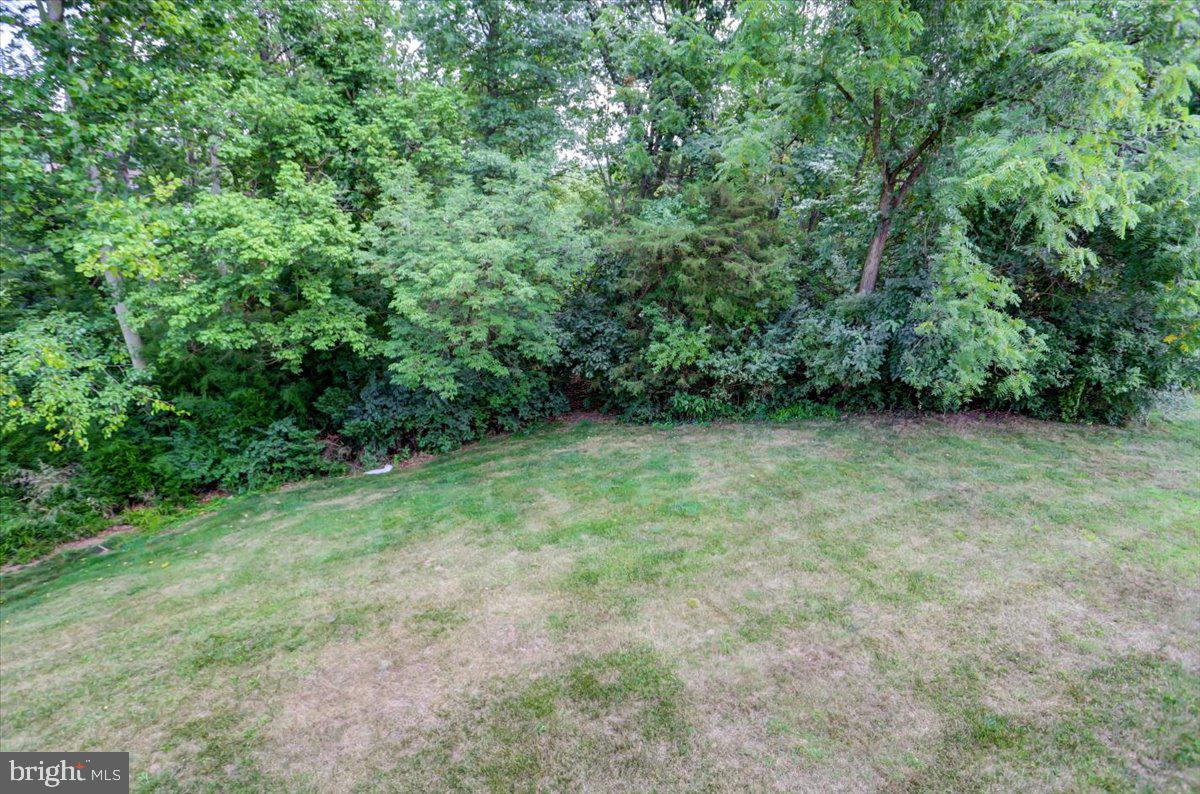2447 Castlegreen Drive