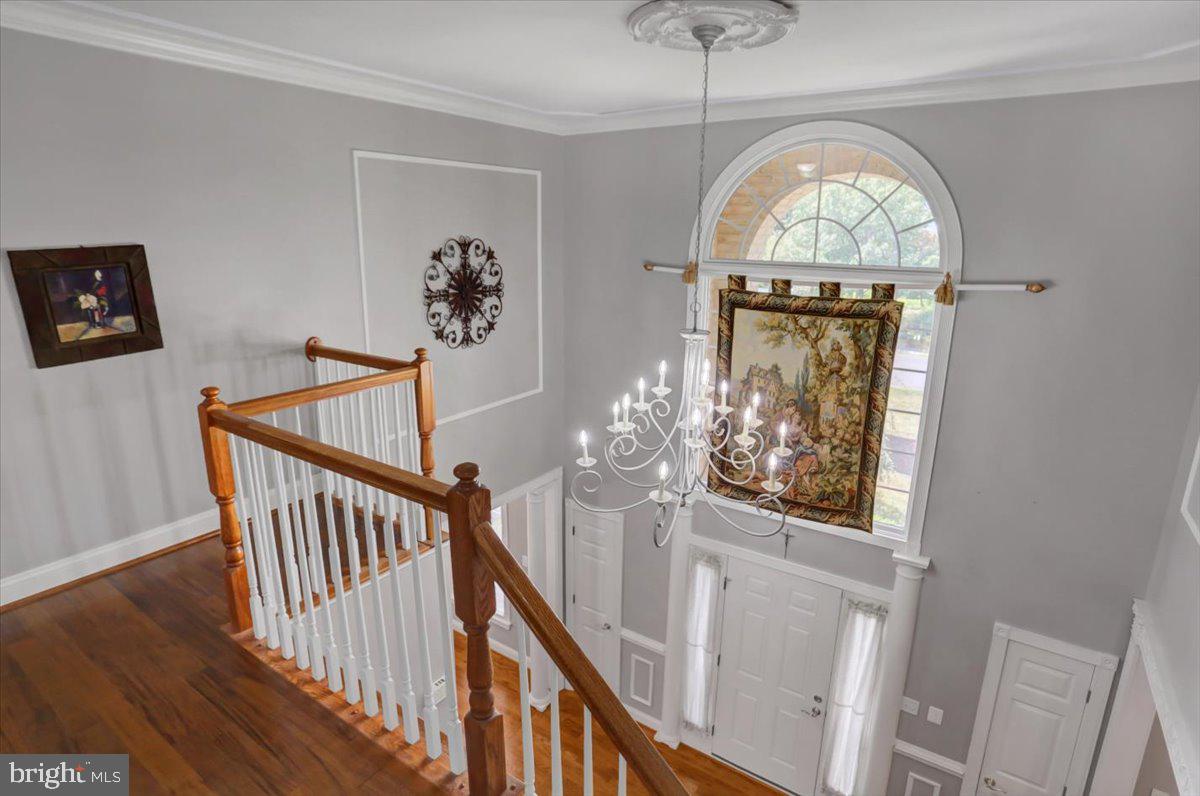 2447 Castlegreen Drive