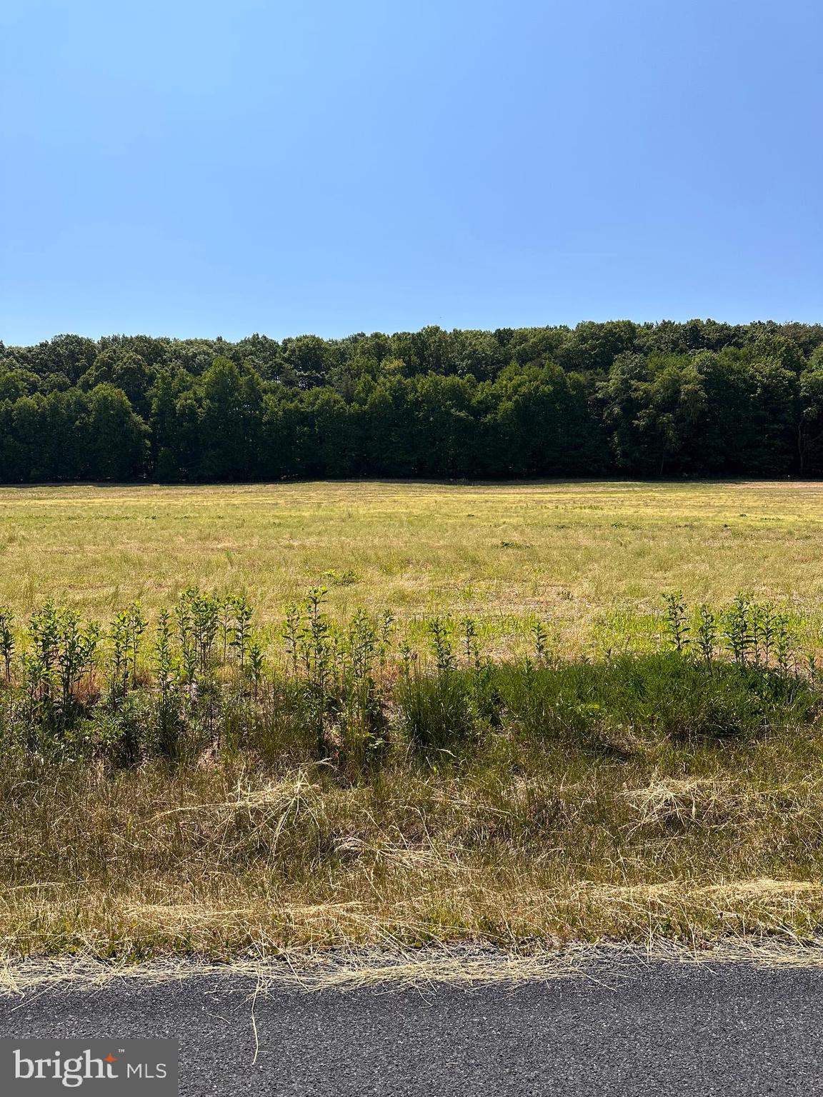 0 Kline Hollow Rd Lot 11