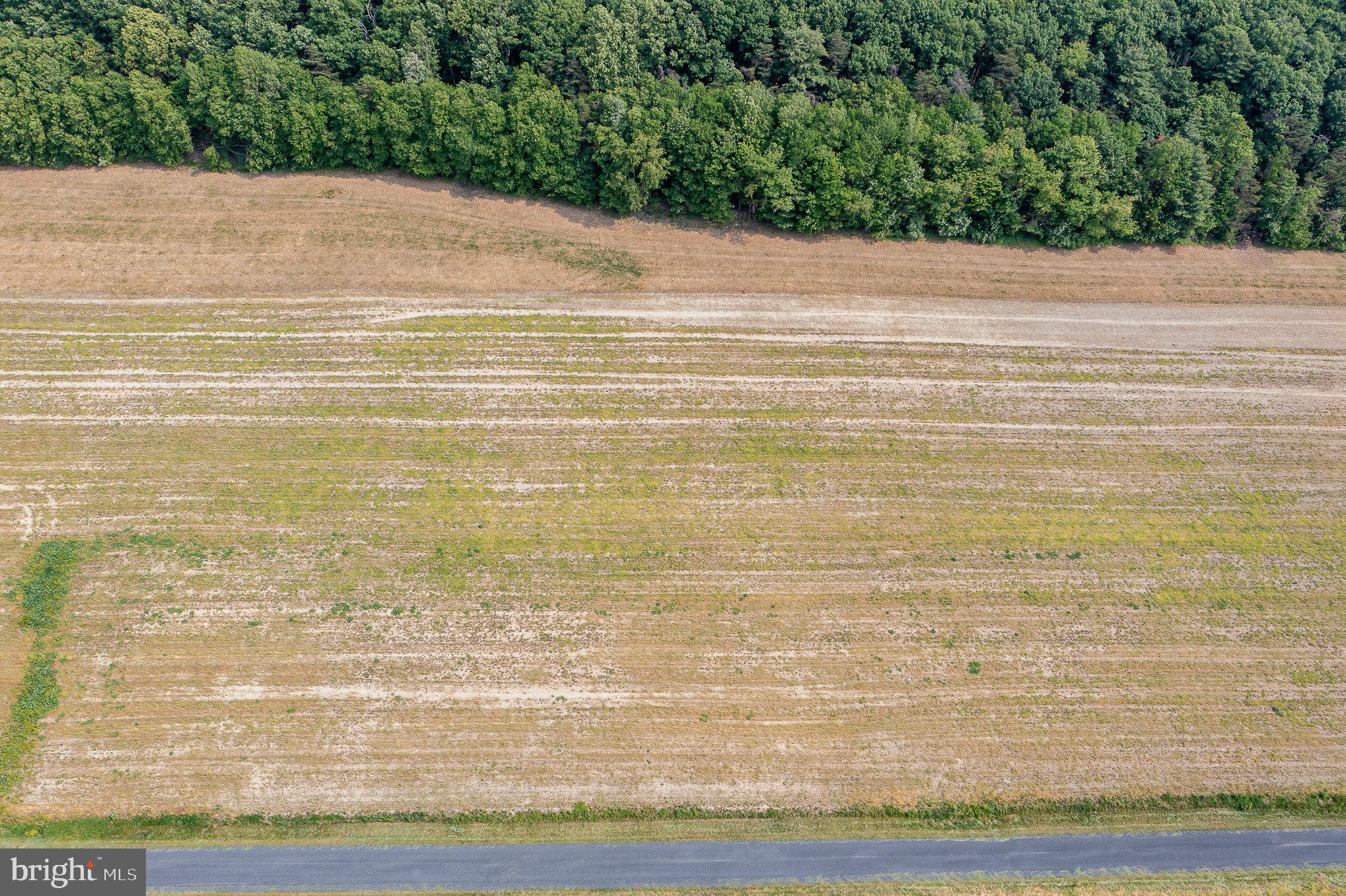 0 Kline Hollow Rd Lot 12