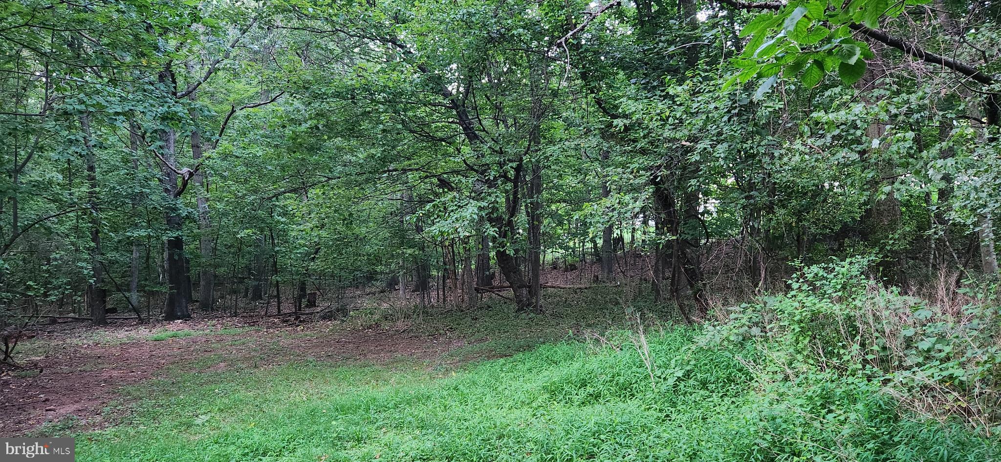805 Buck Rd