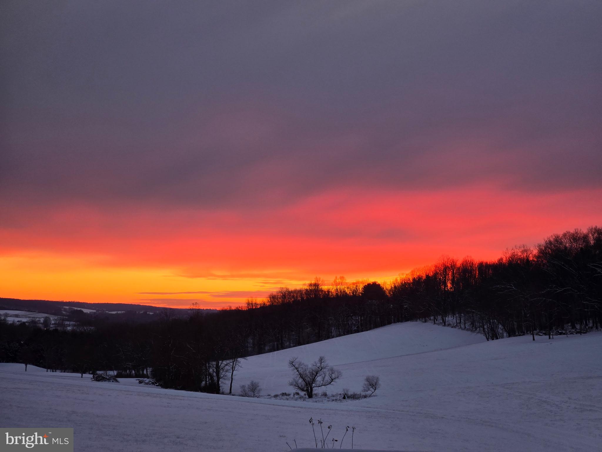 7462 Reynolds Mill Rd