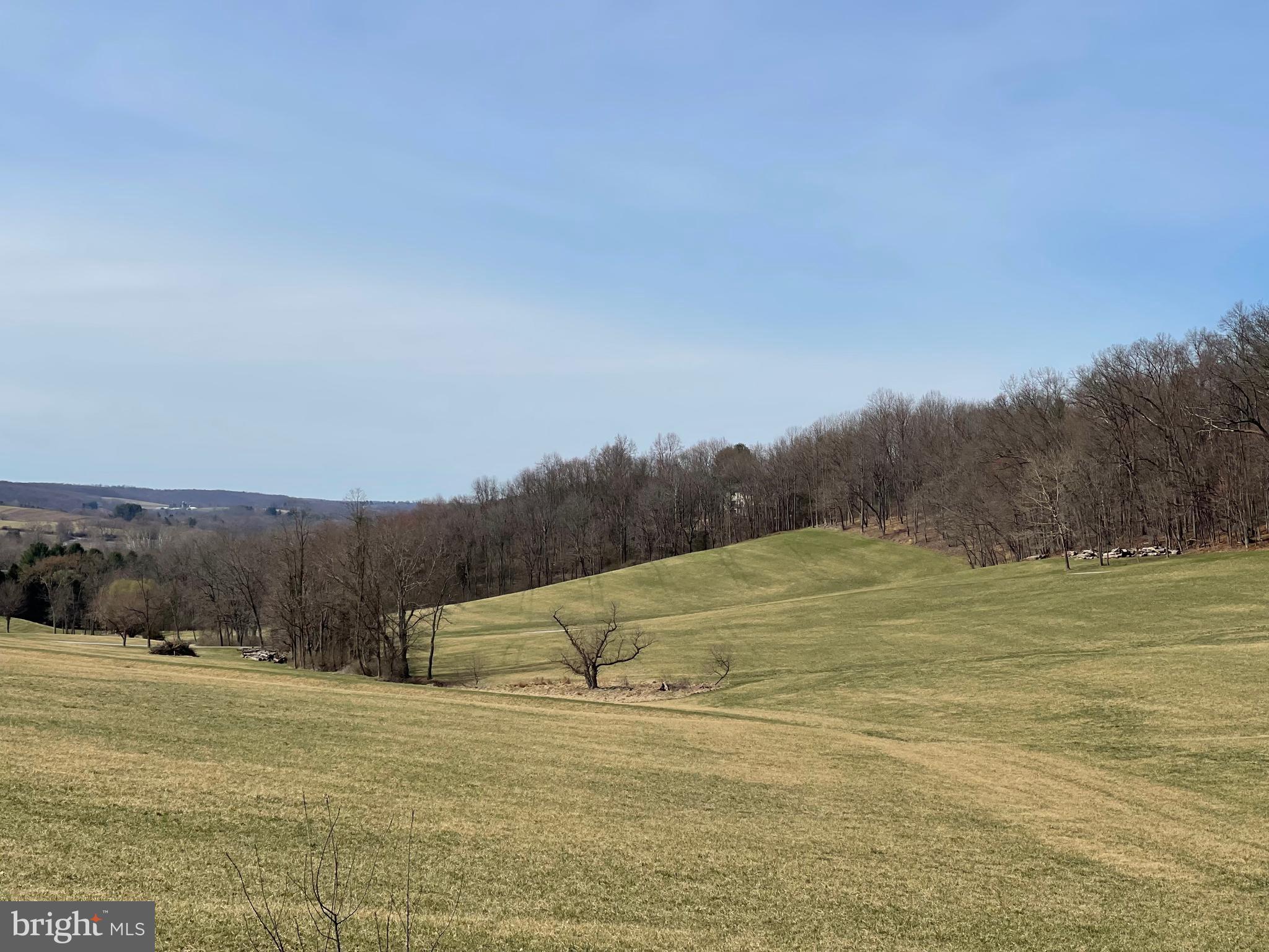 7462 Reynolds Mill Rd